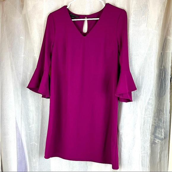 Attention brand shift dress with flounce sleeves - Picture 2 of 10